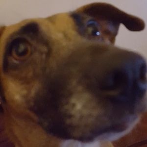 Meet your Posher, Trisha